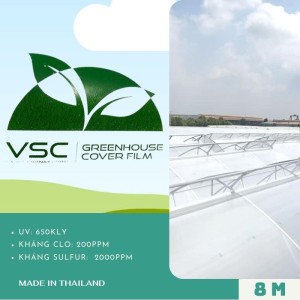 Màng nhà kính Thái Lan - VSC khổ 8m x 100m